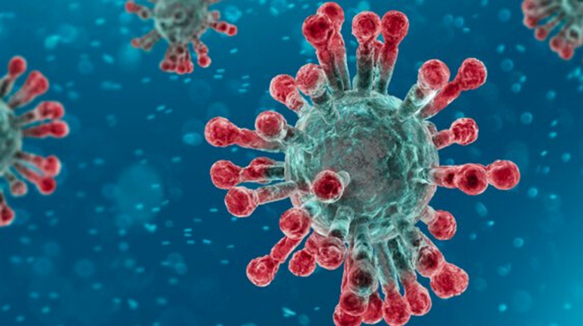 11 People From Maharashtra Test Positive For Coronavirus