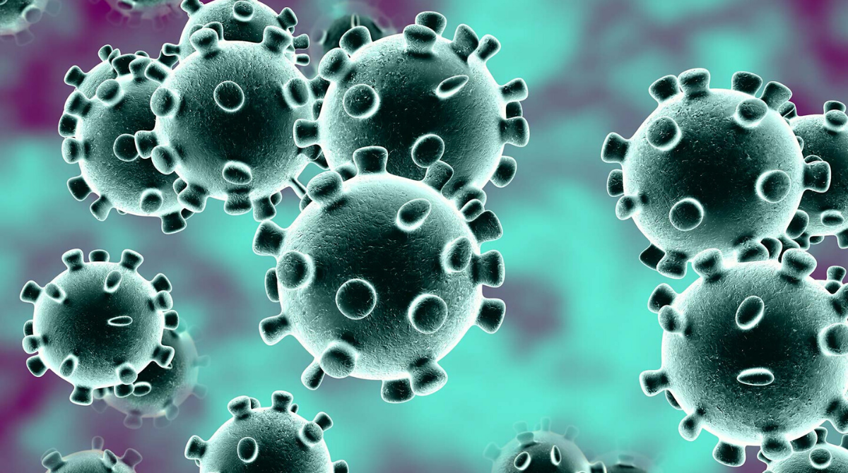 COVID-19 Updates: Count Surges To 562 As India Enters Lockdown For 21 Days!