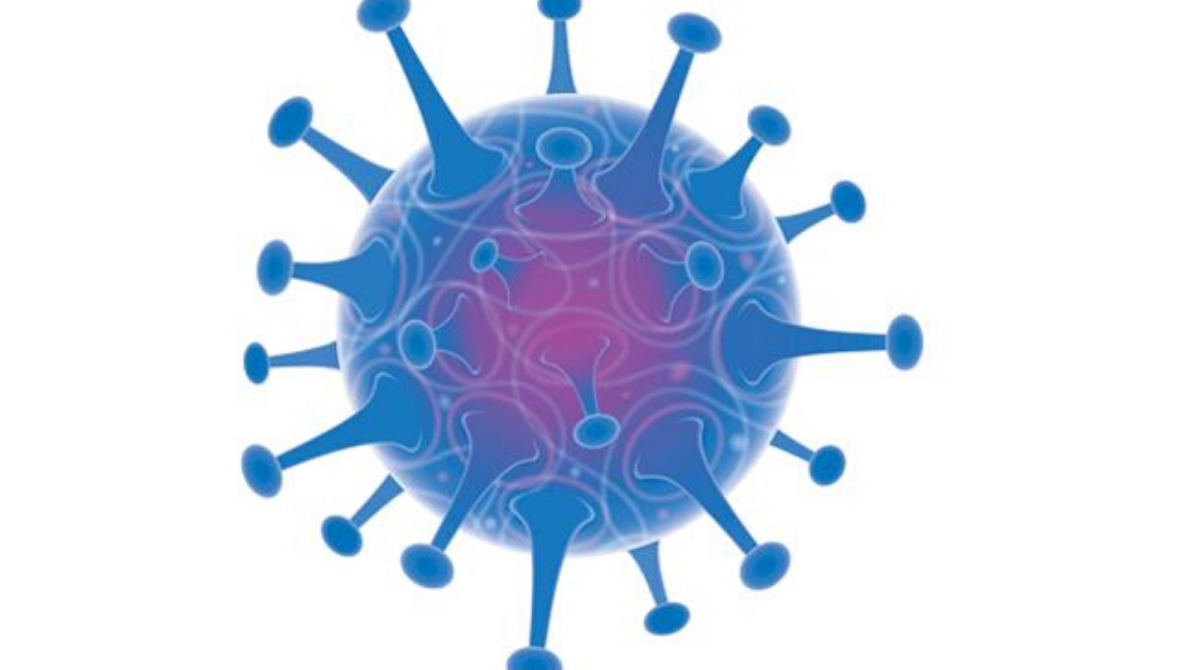 Count Remains Steady As Telangana Reports No New Cases On Wednesday! 